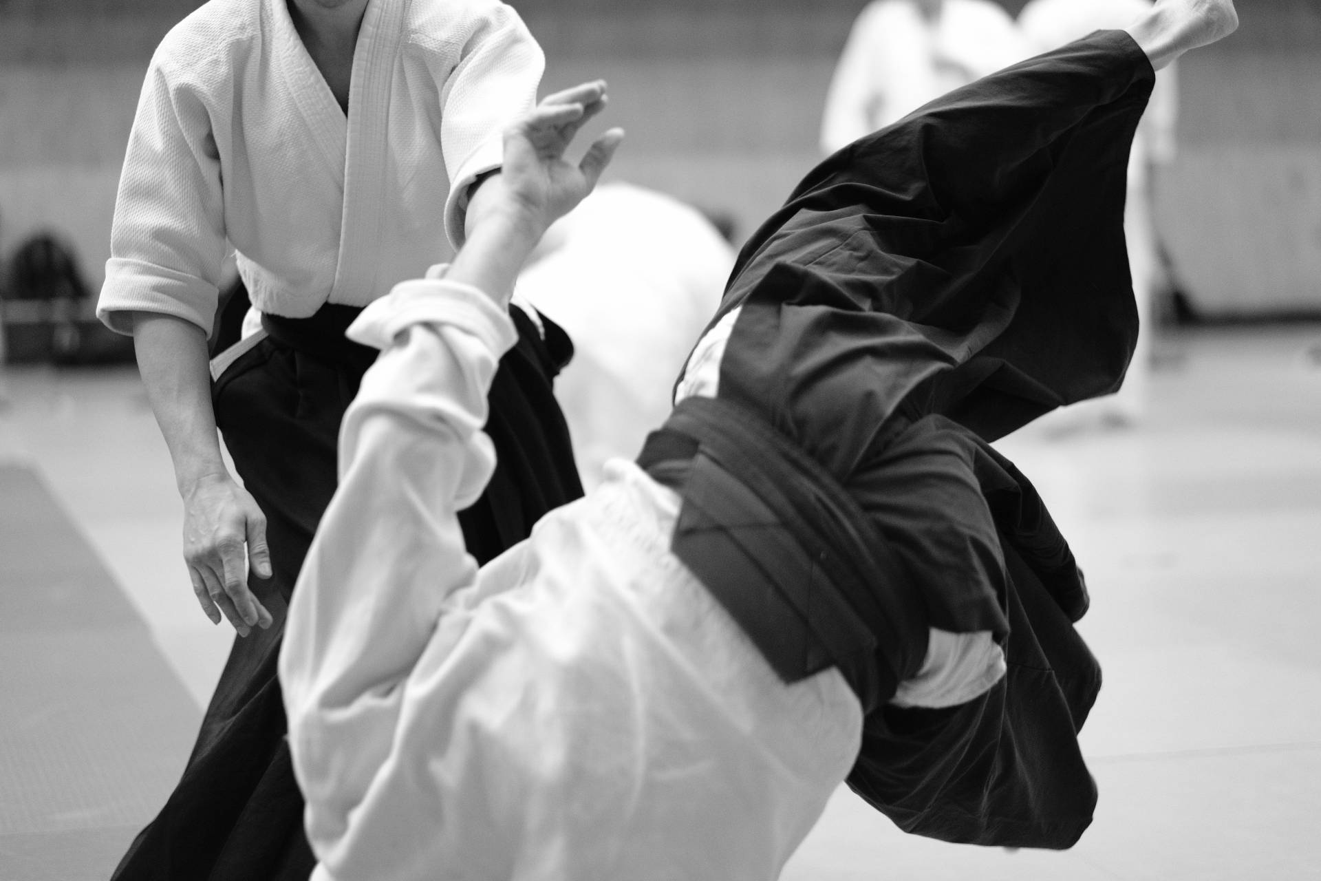 Aiki Nage — proyección de Aikido