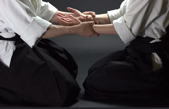 Aikido Paraguay — Instagram